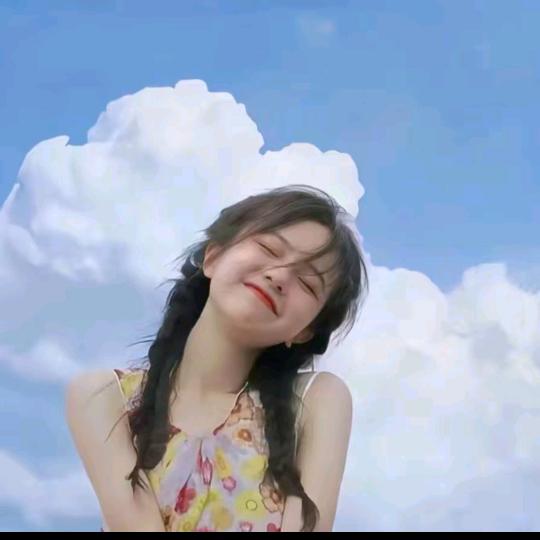 川下菊