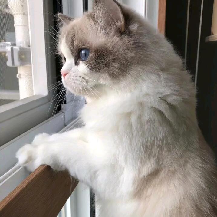 江宁