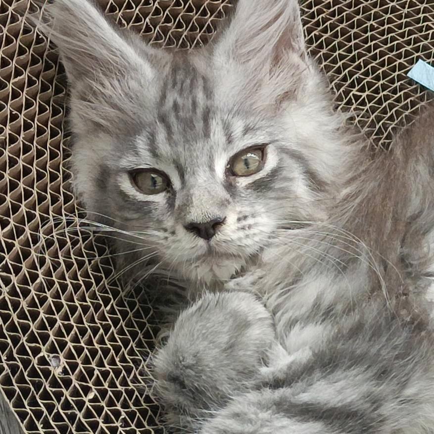 🦄️🌸️🍬️天天