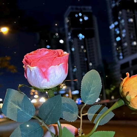 💕ꦿ᭄沉៷ᜧ默༉ᩚ᭄: 💕ꦿ᭄