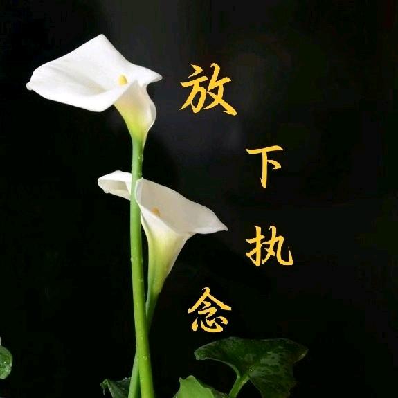 放下🌟执念
