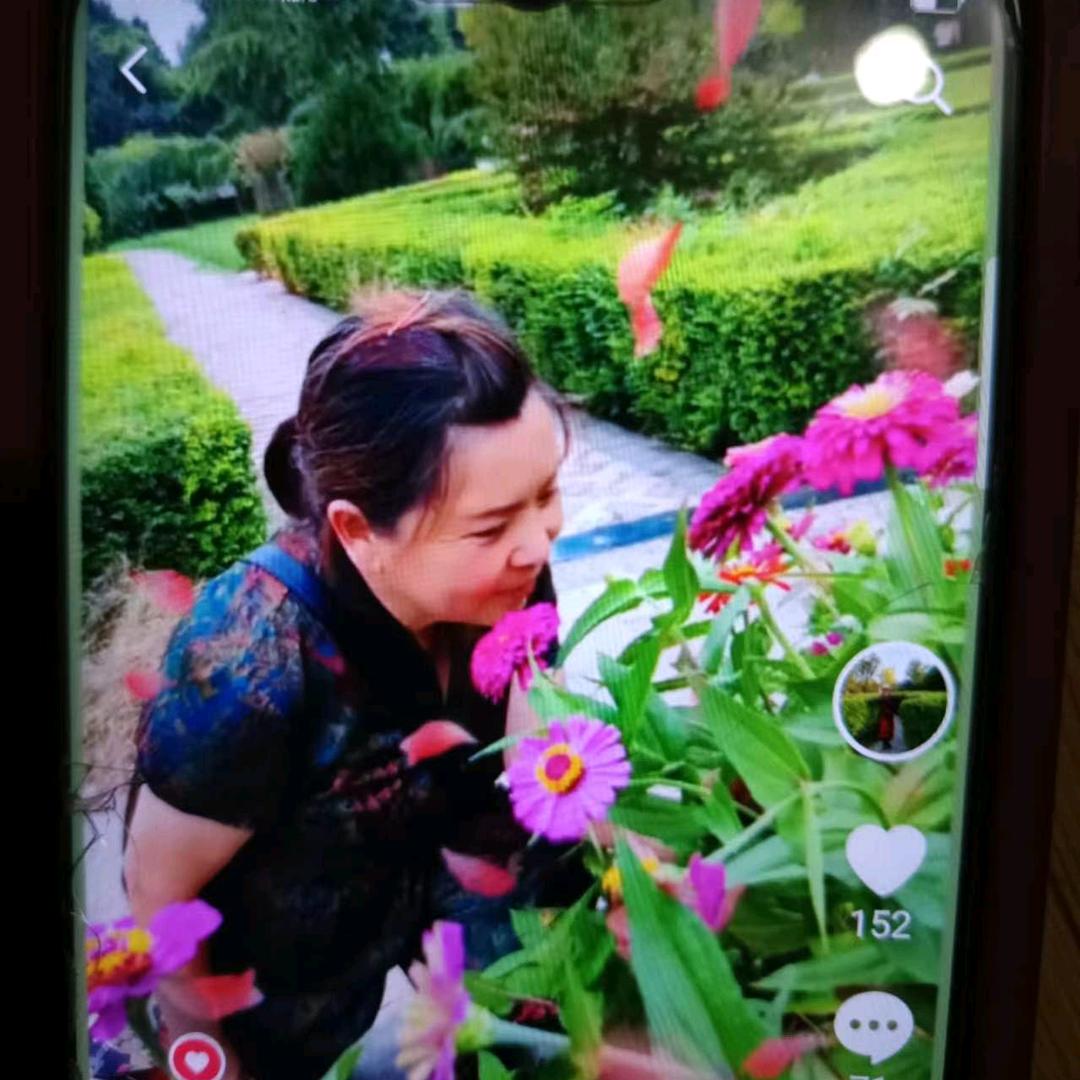 谷凤莲🌹