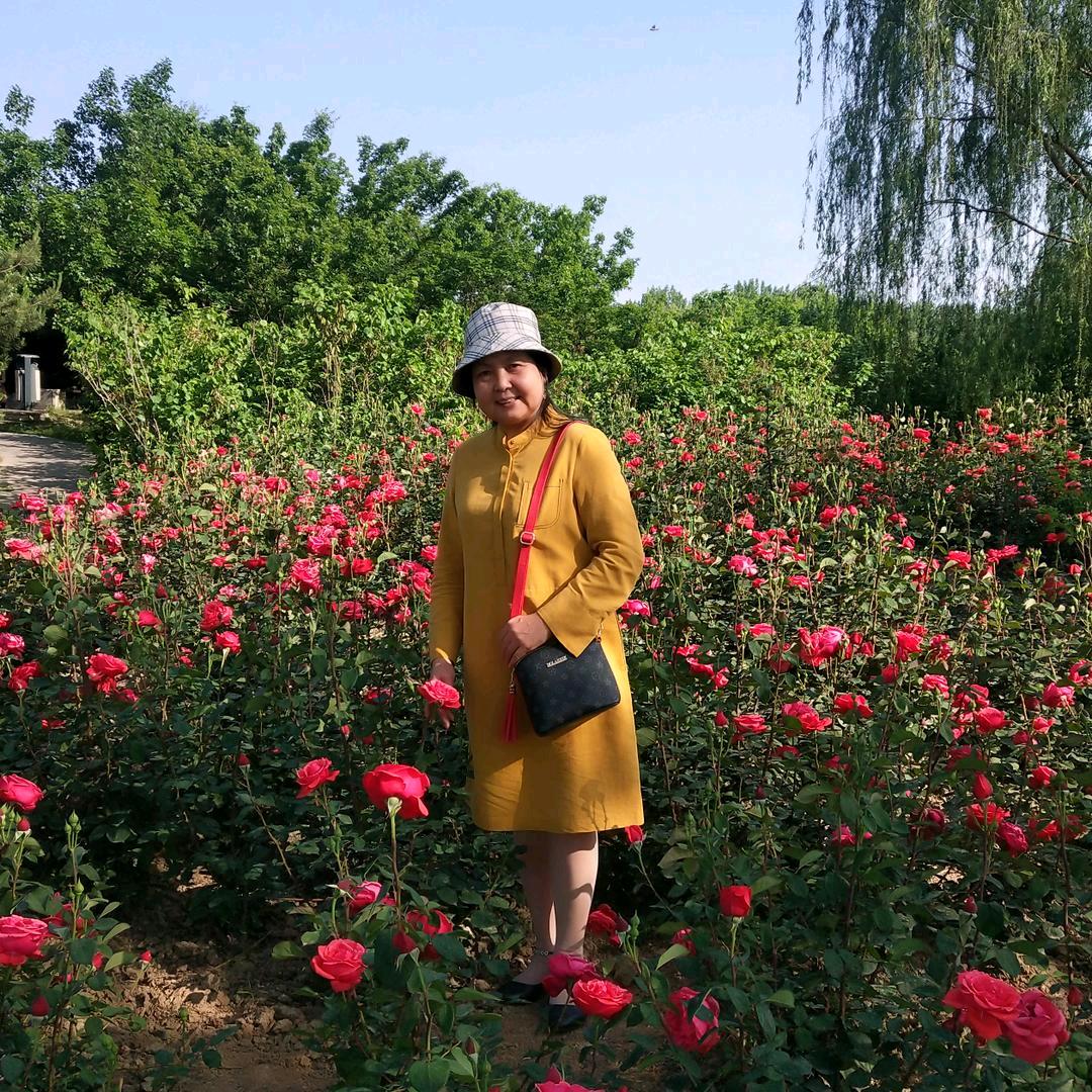 春暖花开四季鲜🌸