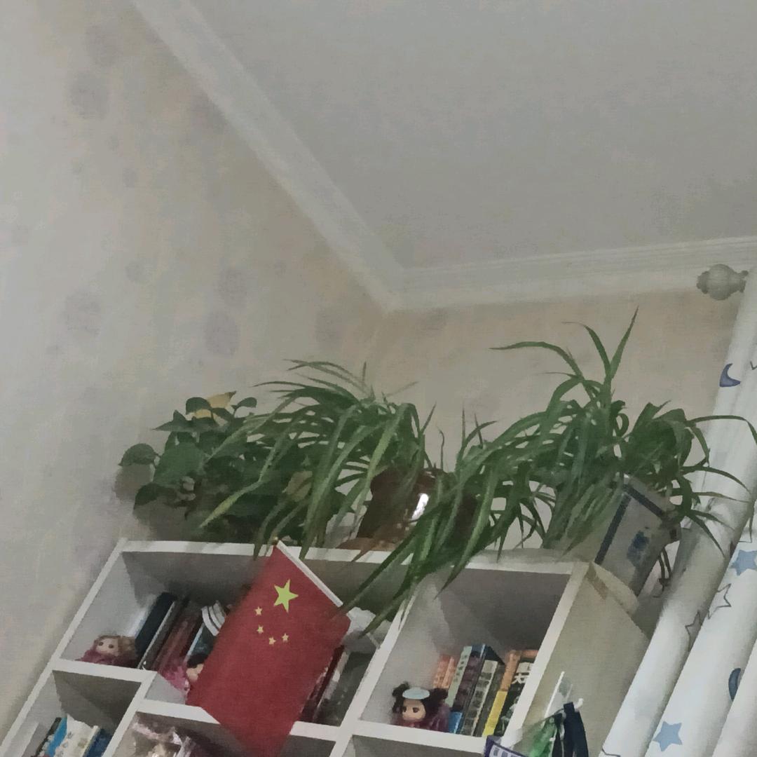 消防特勤大队大队长