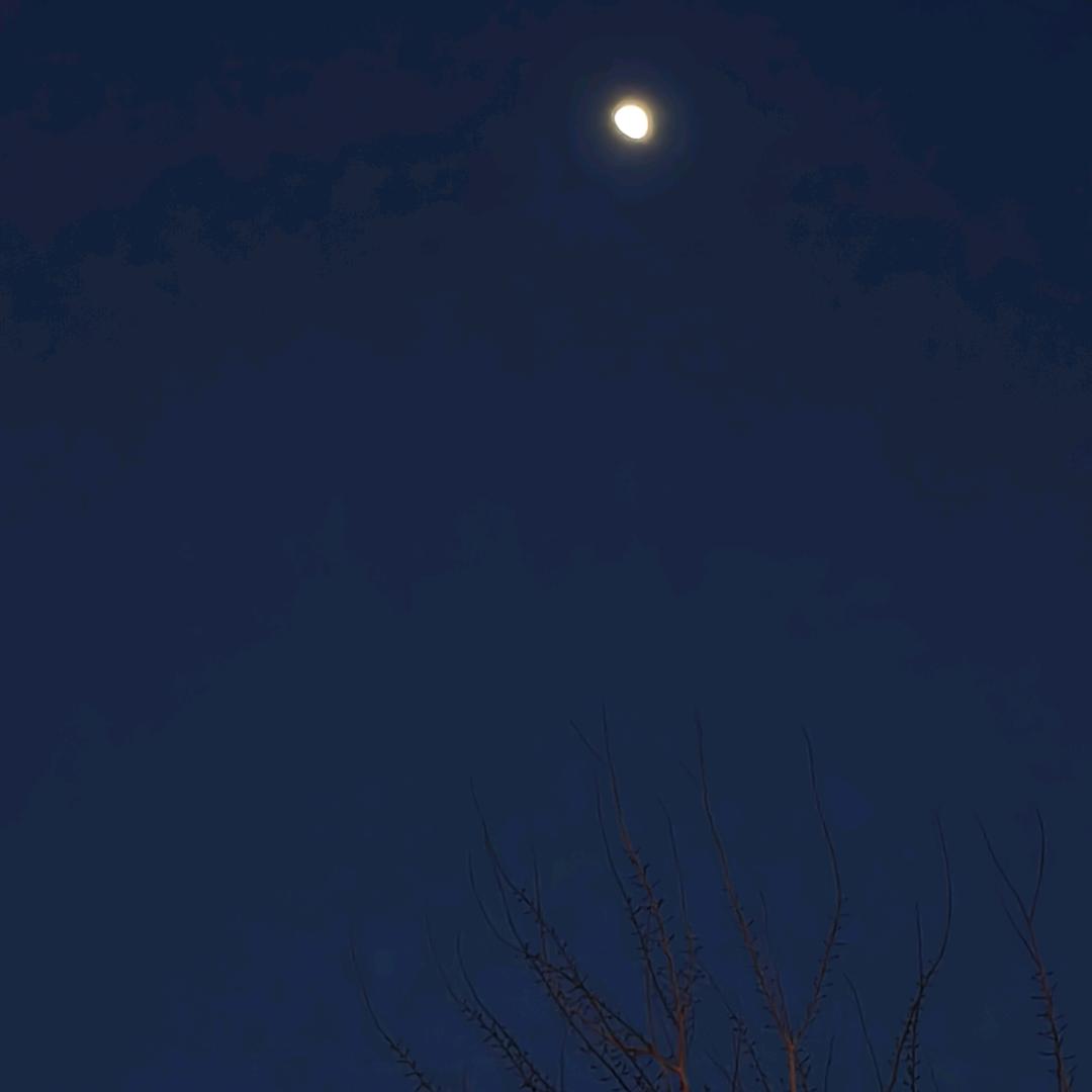 颜昤