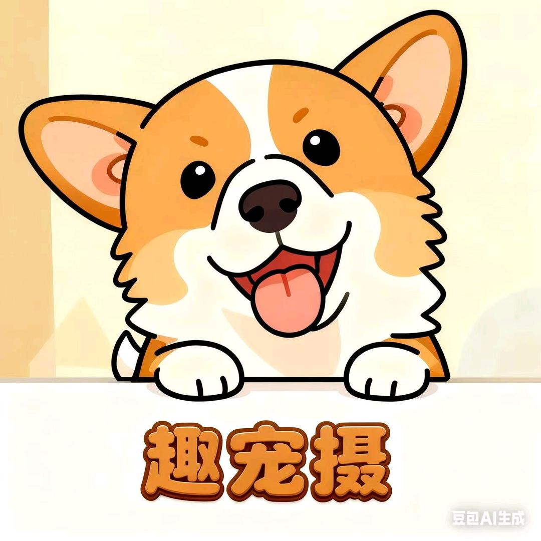 趣宠摄宠物摄影