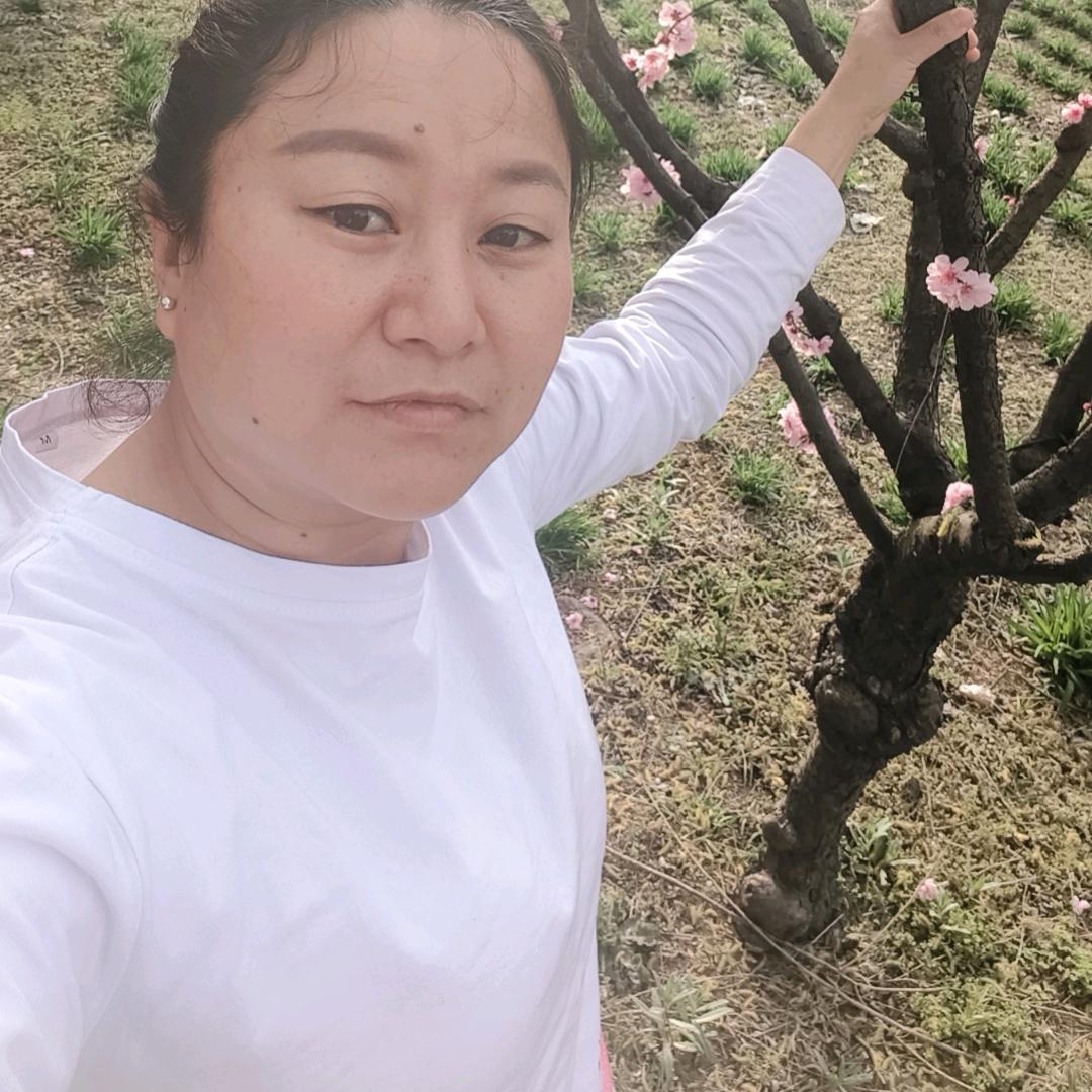 云南西双版纳弥勒旅游吃住一条龙萍姐欢迎你