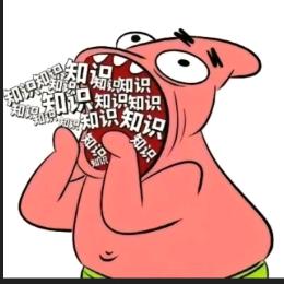 不加珍珠