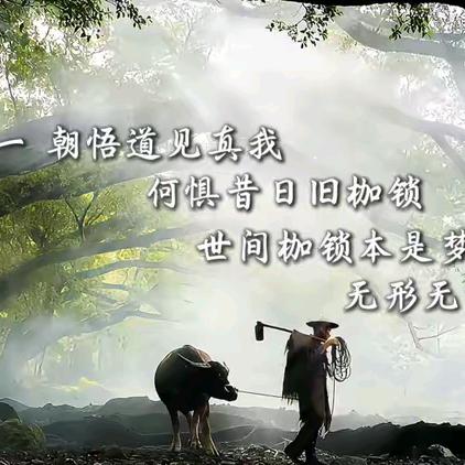 🌈淡然