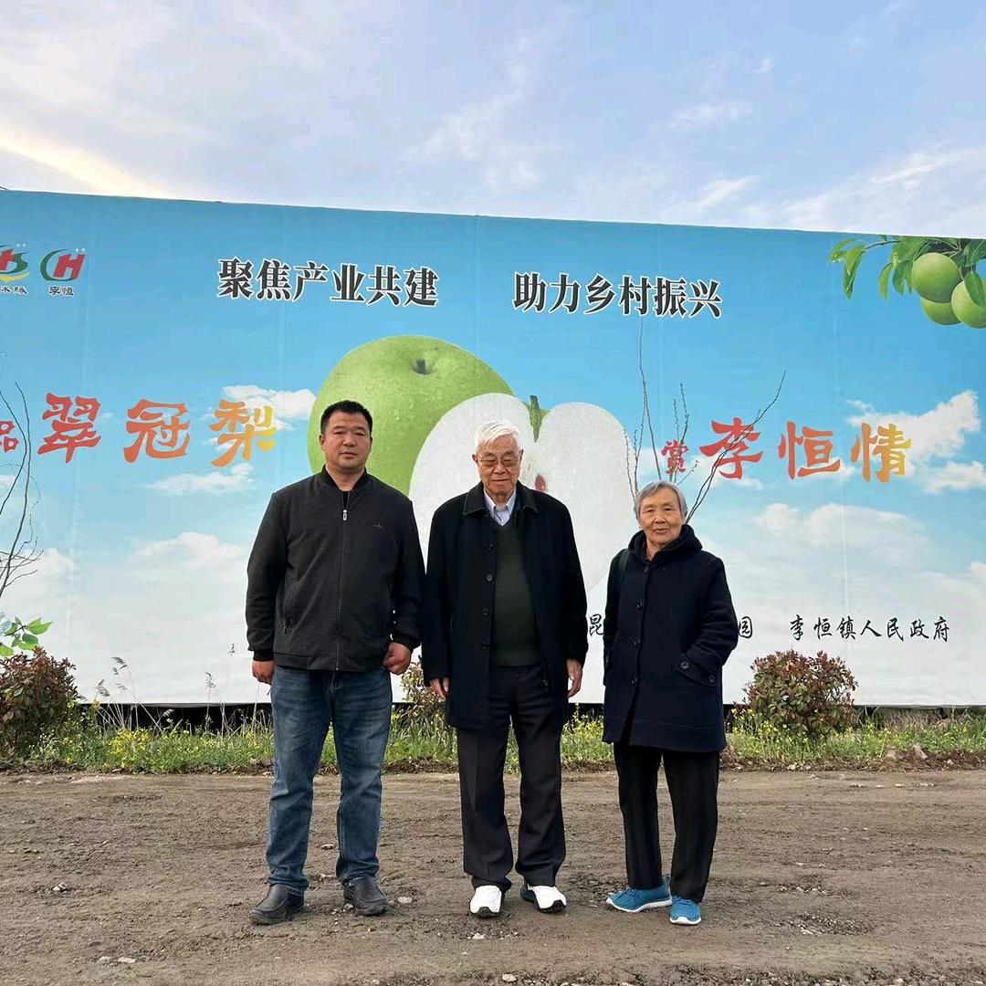 大李一品翠冠梨
