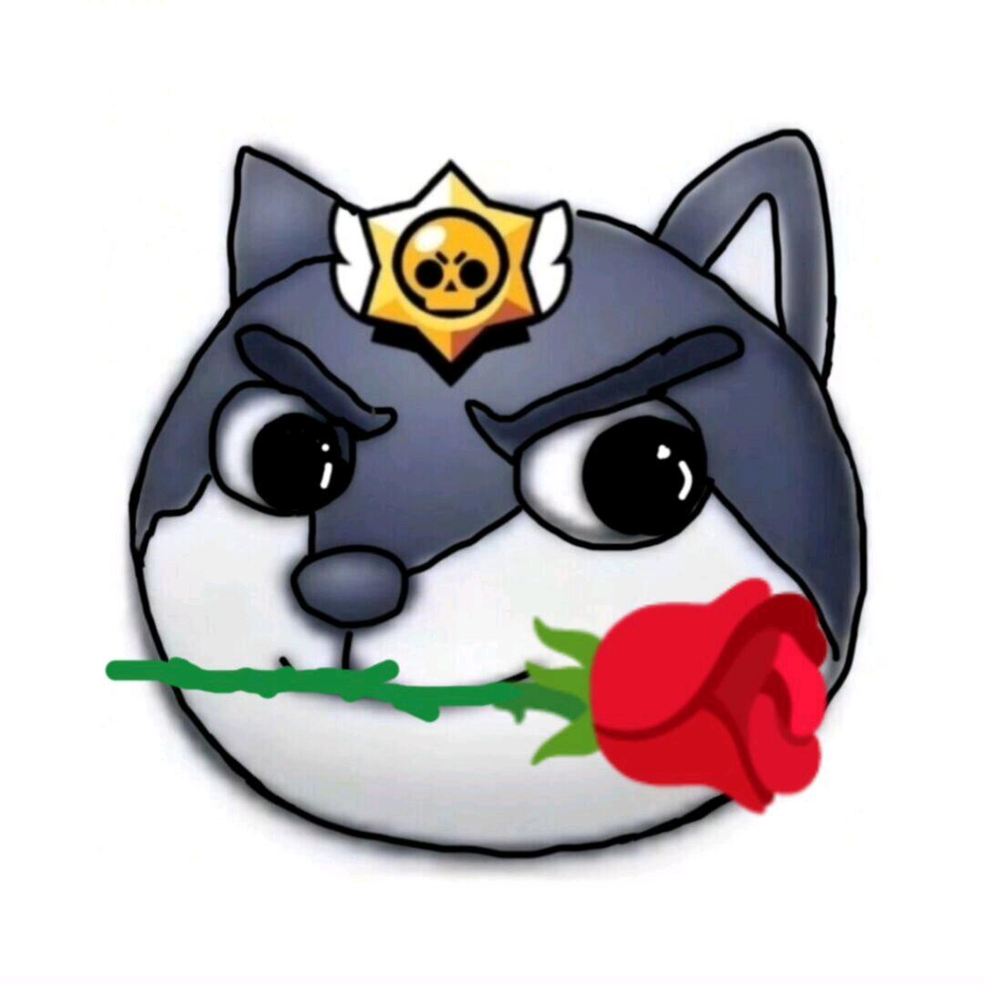 狗头趣事