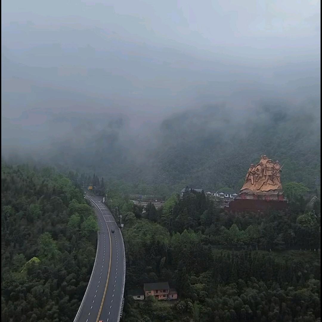 龍行🌟林海