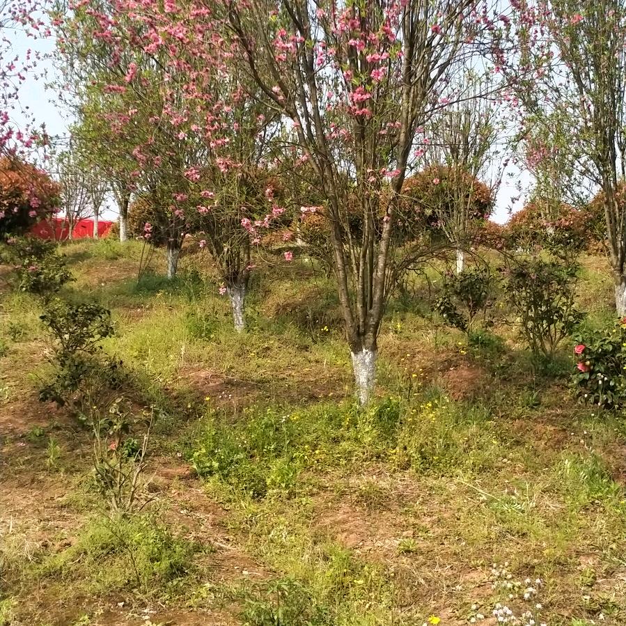 用户8880918712835