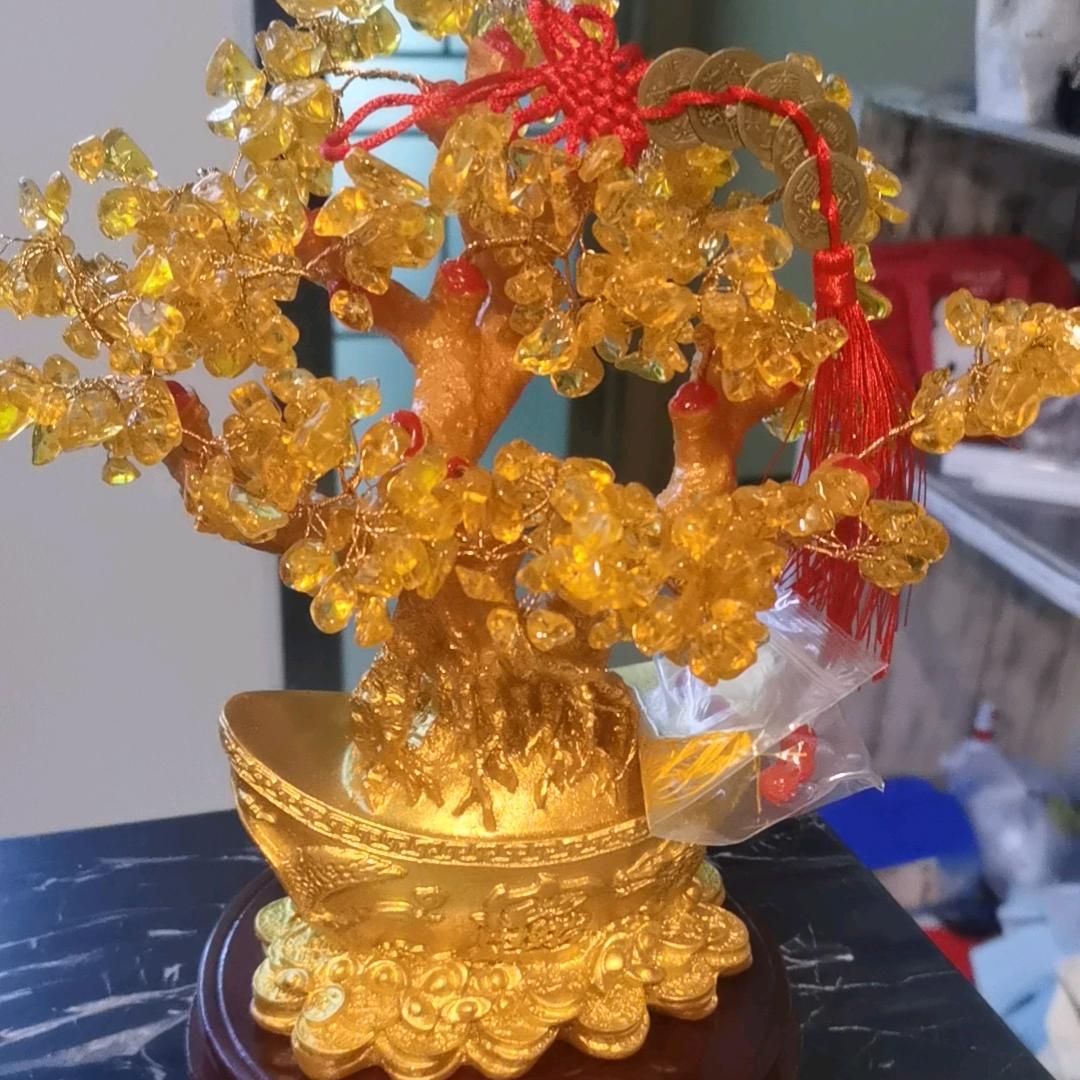 徽美芳园百货