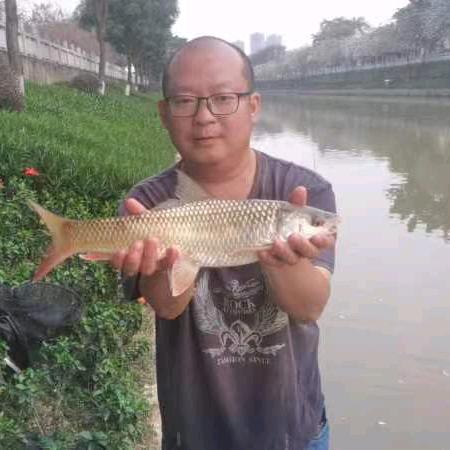 光头佬爱钓鱼