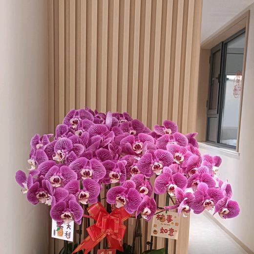时光荏苒