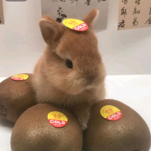 社交恐惧郑