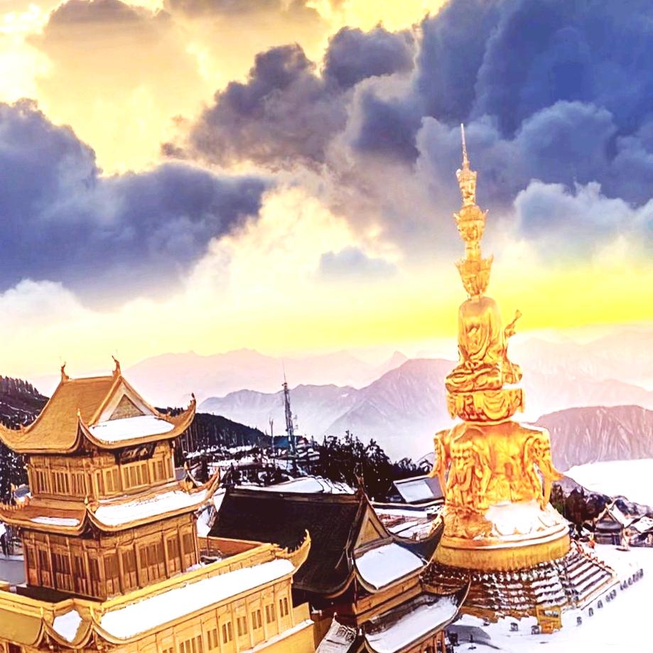 西丰县和隆乡山宝蜂业合作社