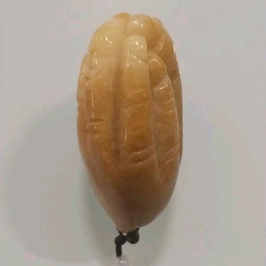 户徽龙