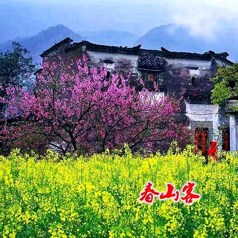 婺源人家