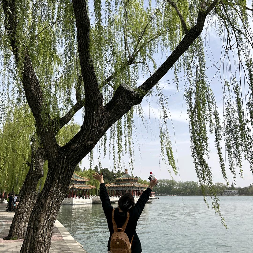 庞哈哈.