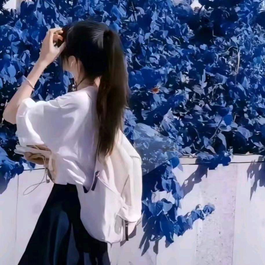 凤姐运动打卡