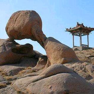 天涯任我行