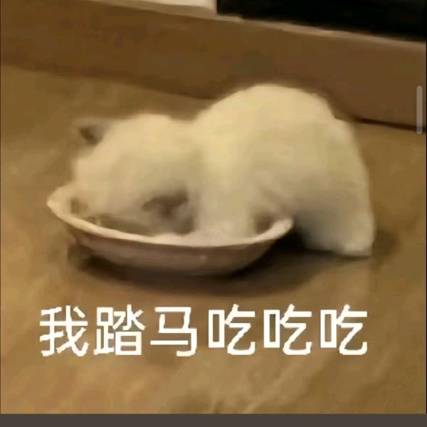 豫香大盘鸡