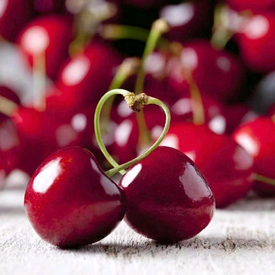 🍊橘子短剧🍊