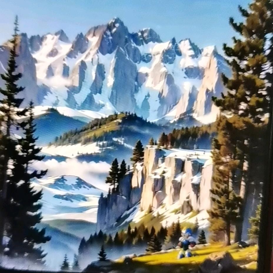太阳花