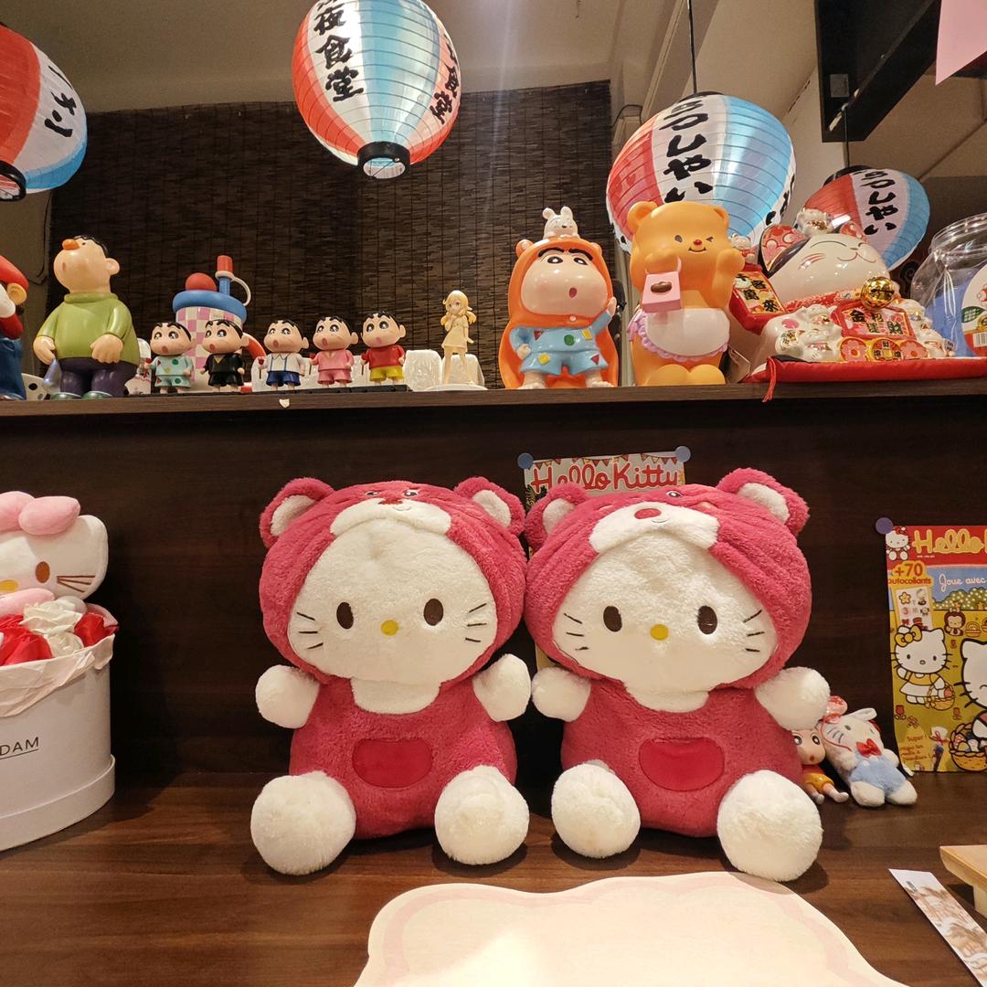 赵赵吖🌷