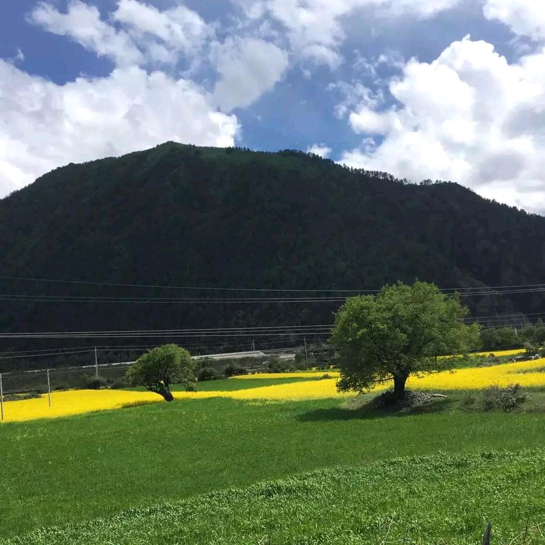 後知丶後觉   　　　　　༽ 　　　　╲