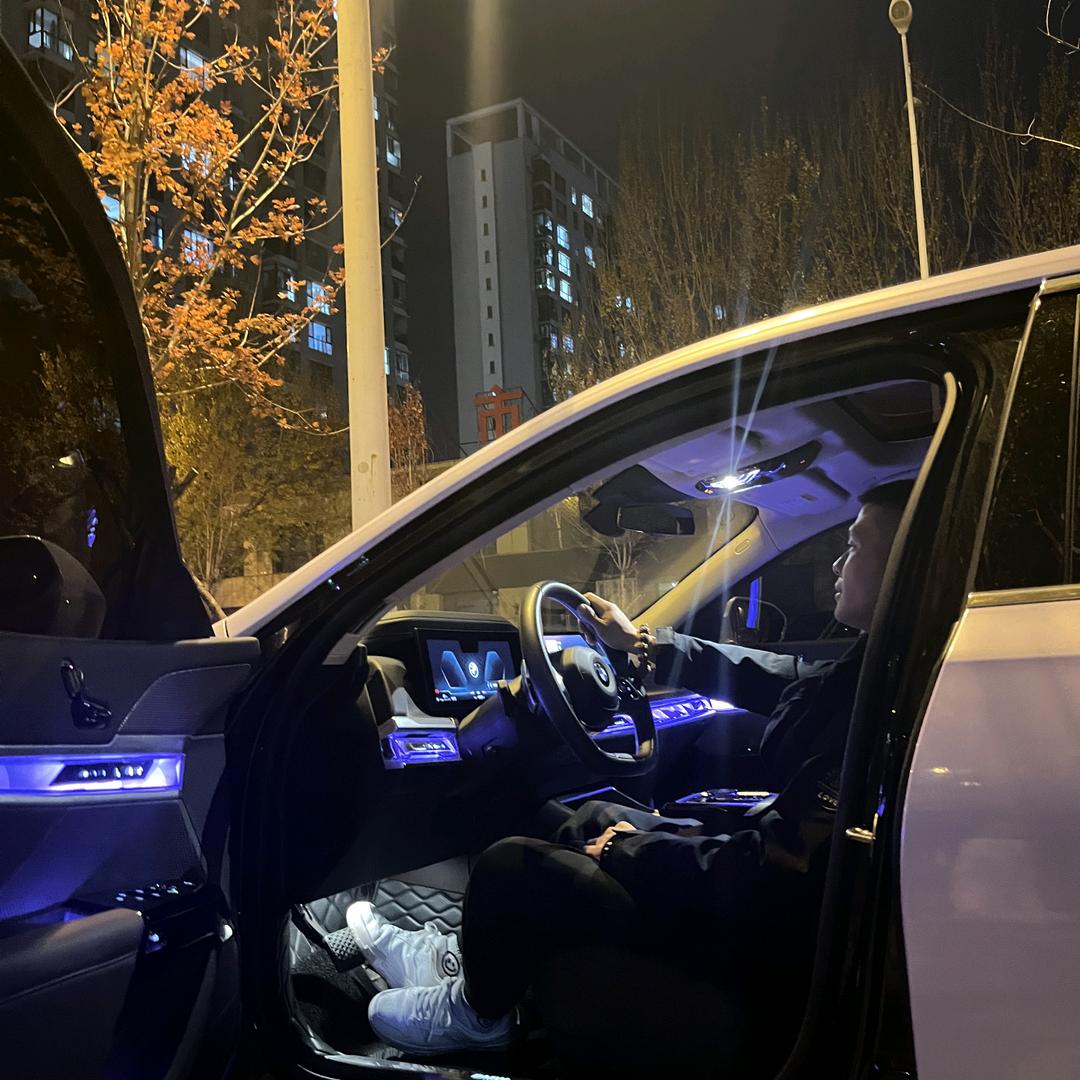 金钱美酒凯子与狗