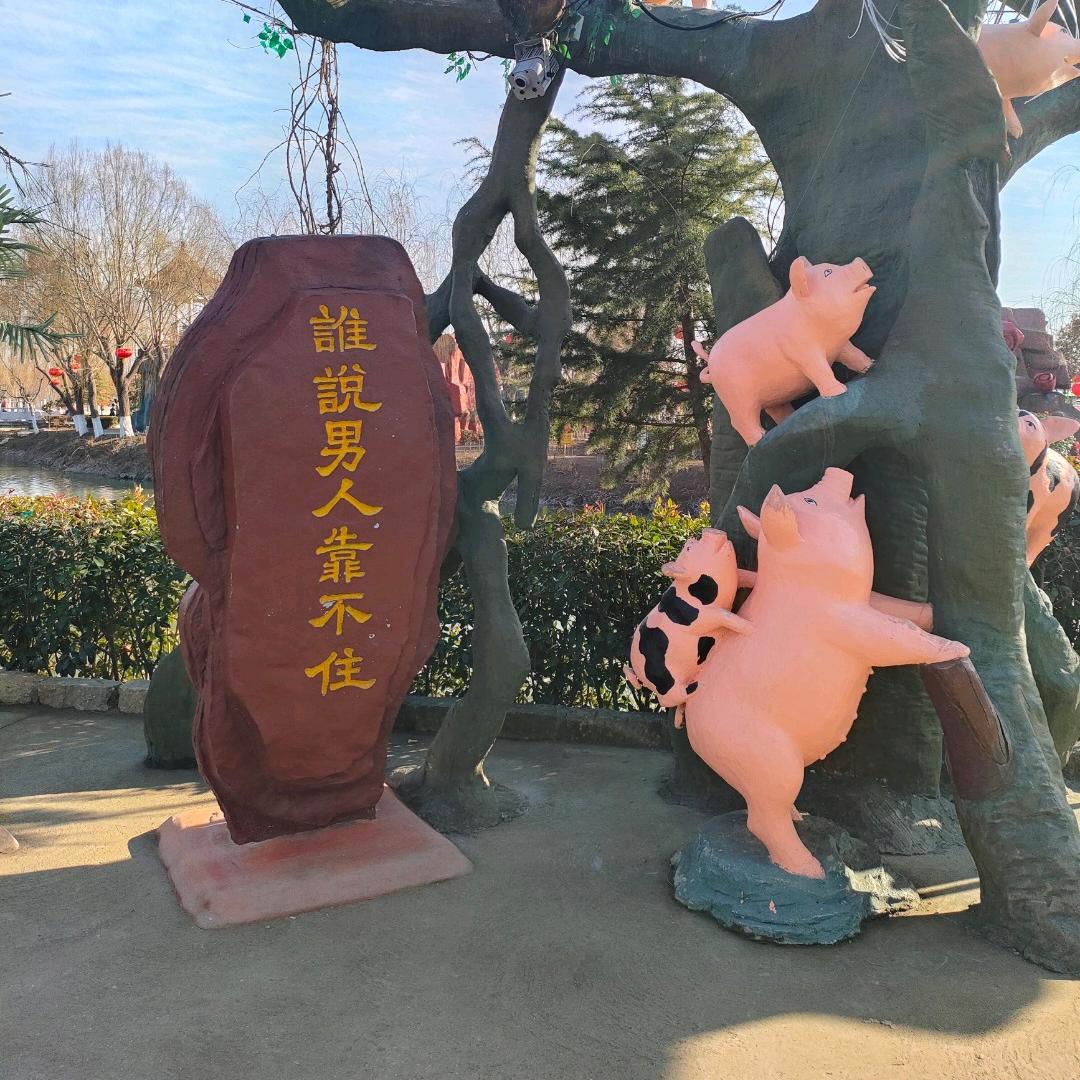 华夏专业配资