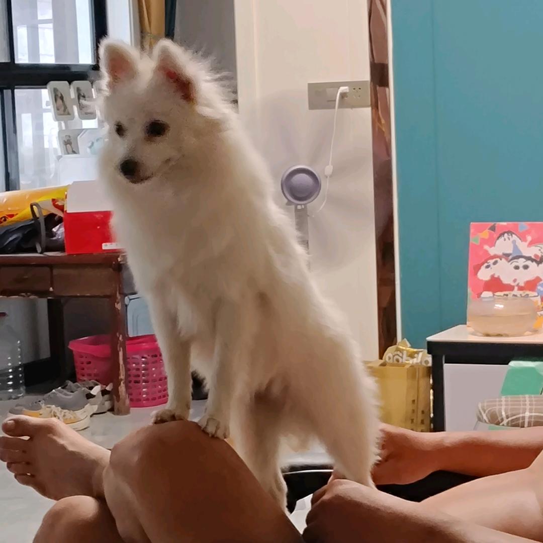 等候那场雪