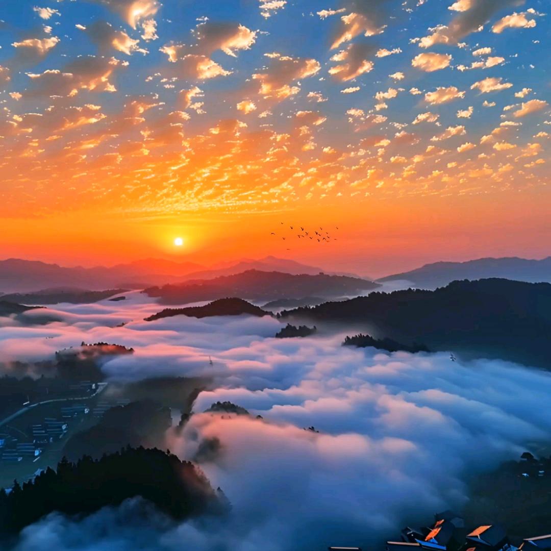 东芳优选小杨