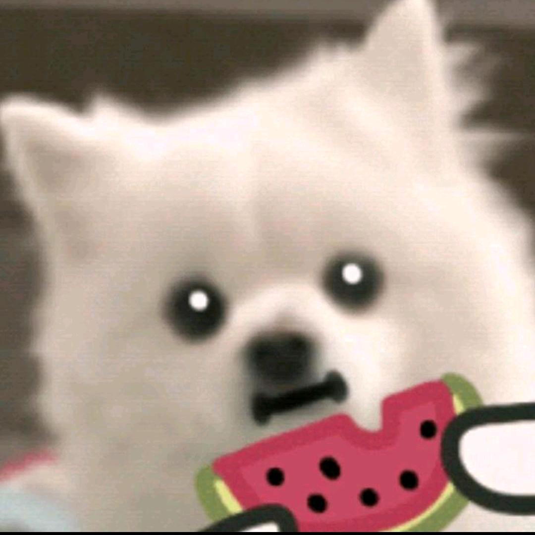 内向求真