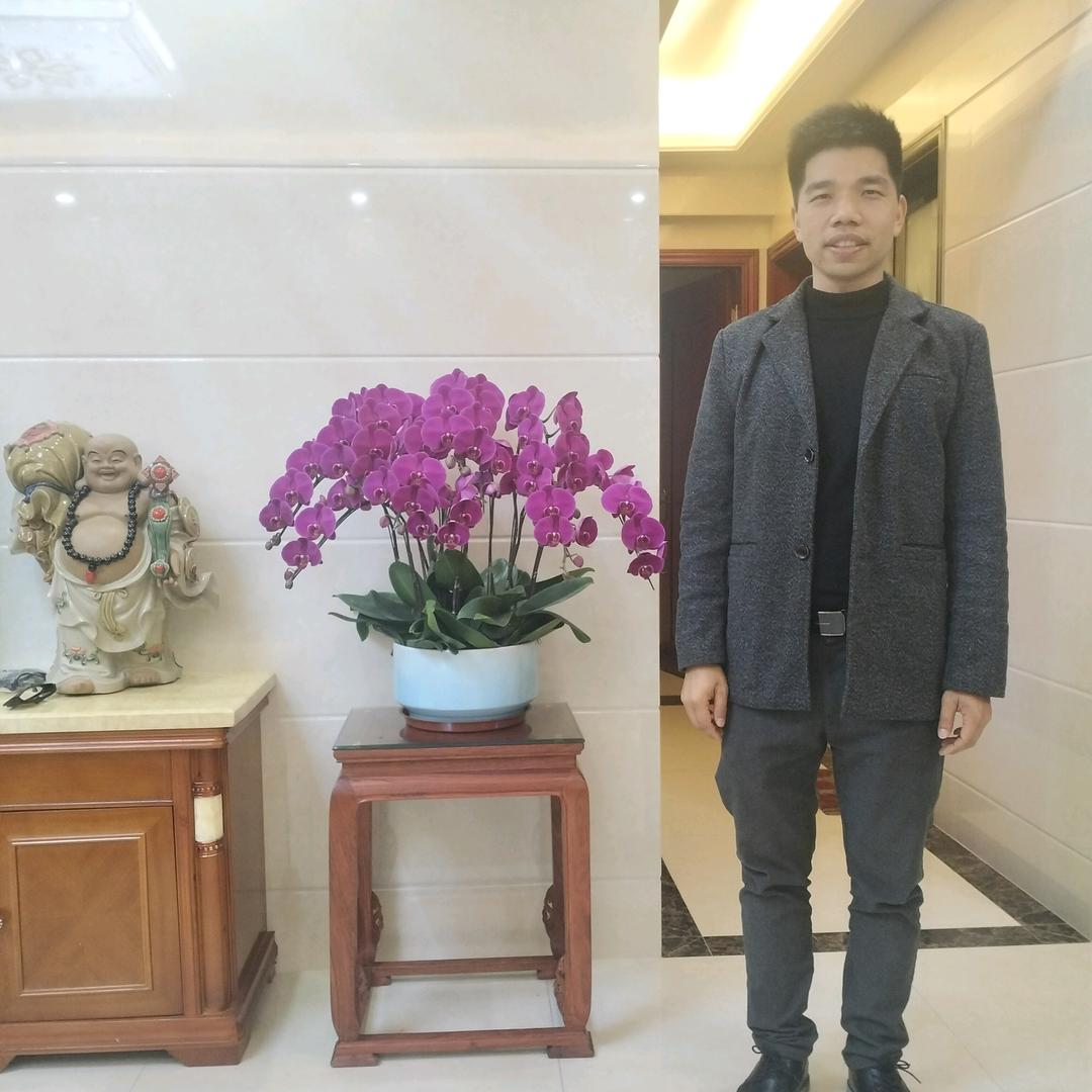 杏坛乐添：空调批发&电器维修专家