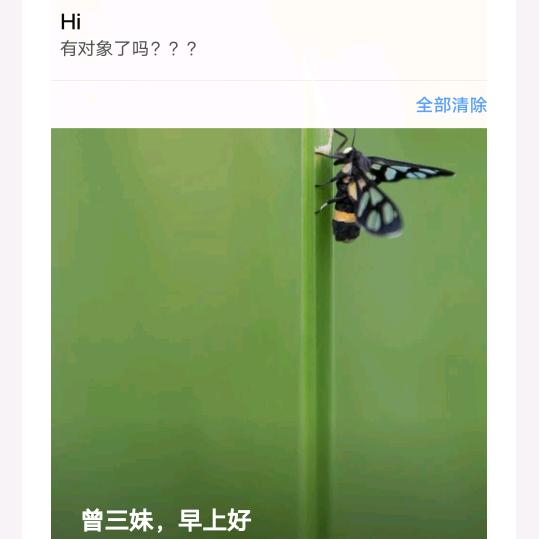 自由飞翔