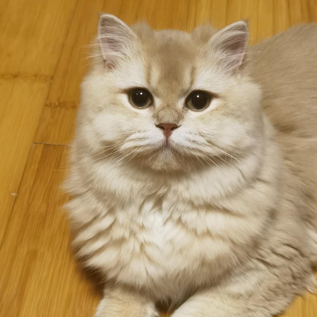 随缘