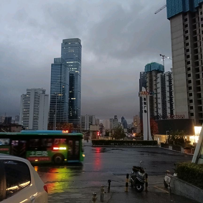 迟来的深情比草贱
