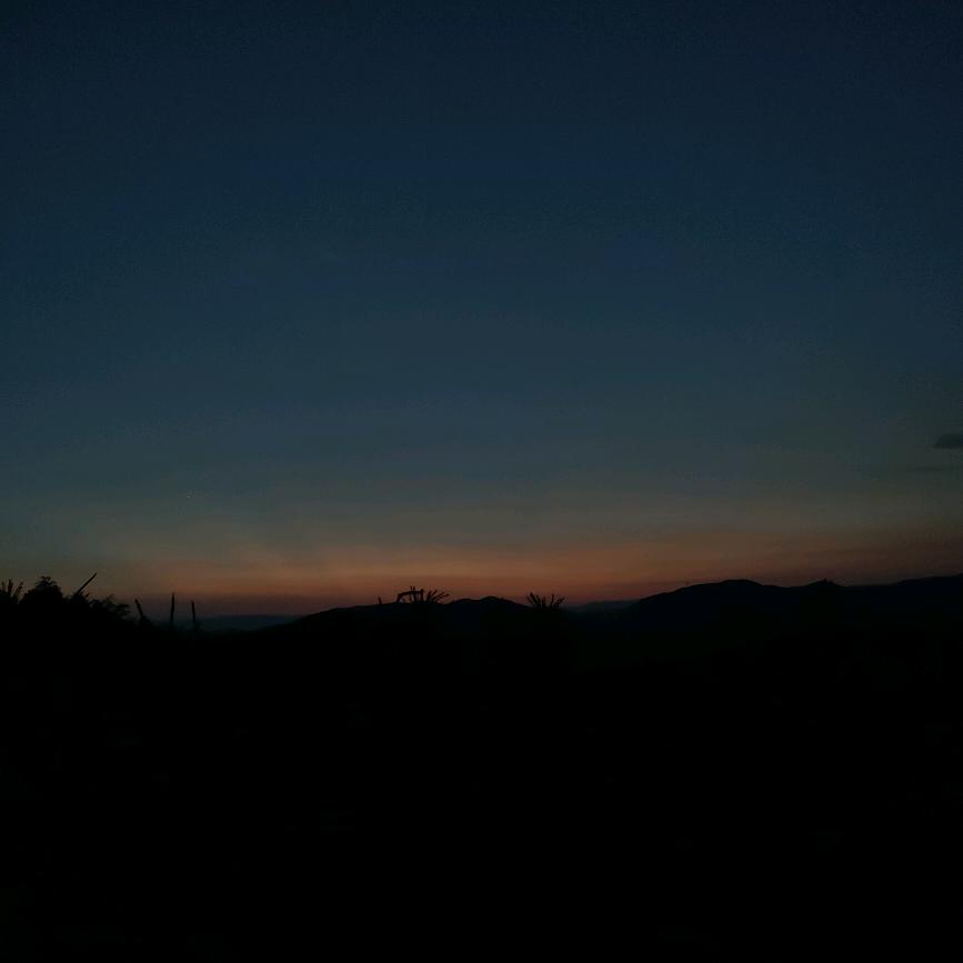 初夏微凉