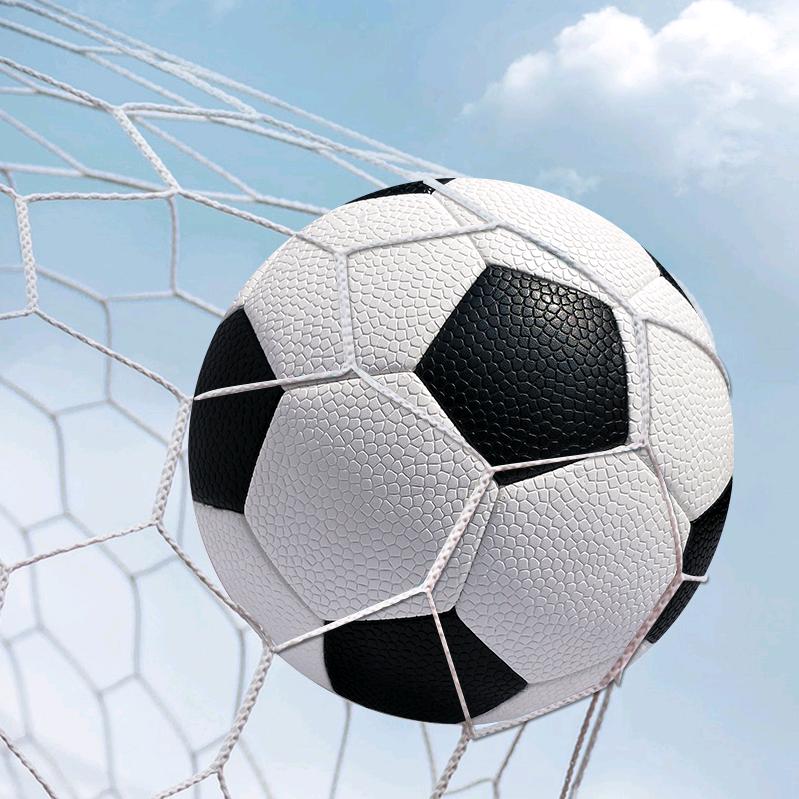 Goalontheway
