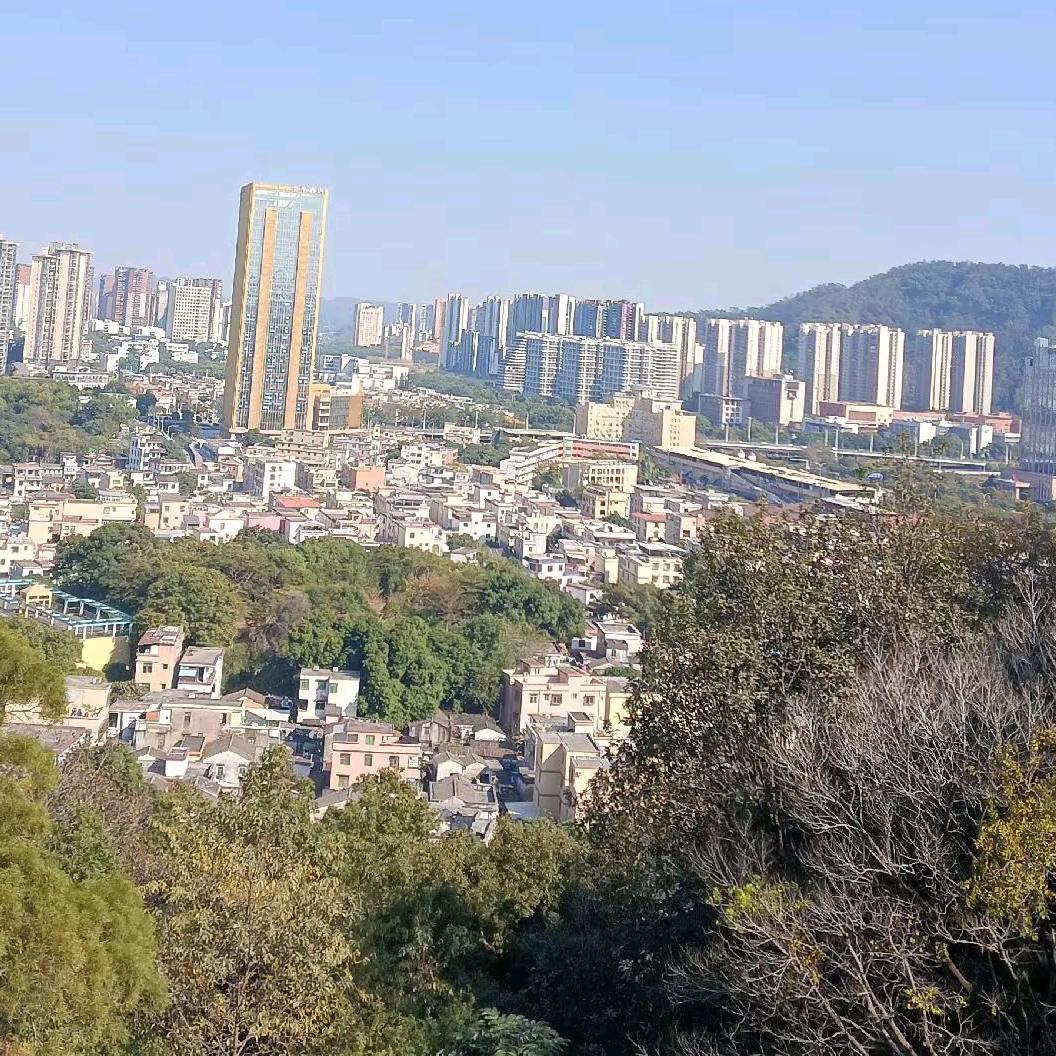何去何从