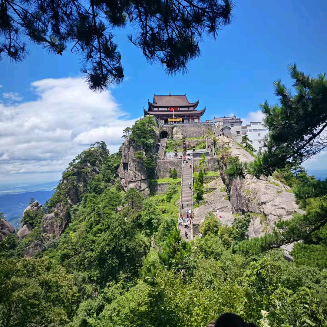 缘来是您