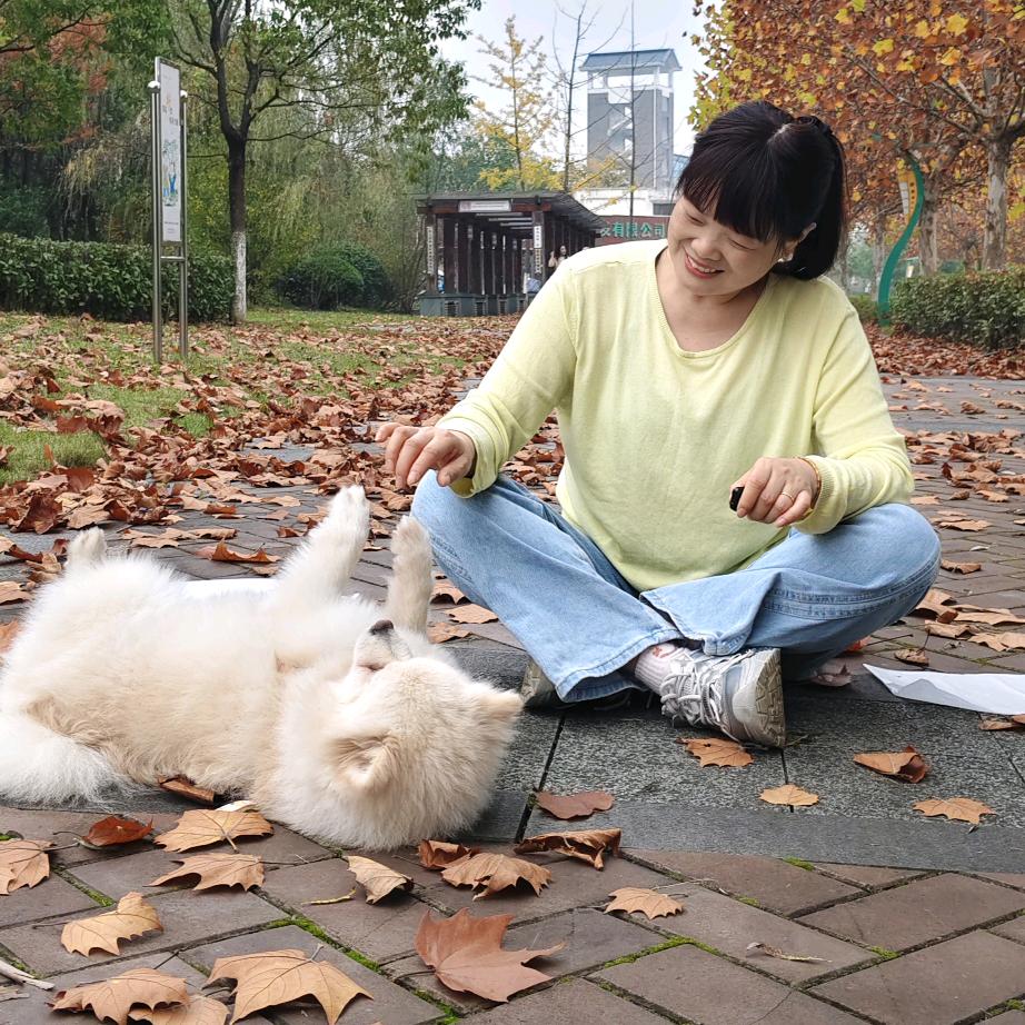 @燕燕（拒私聊）