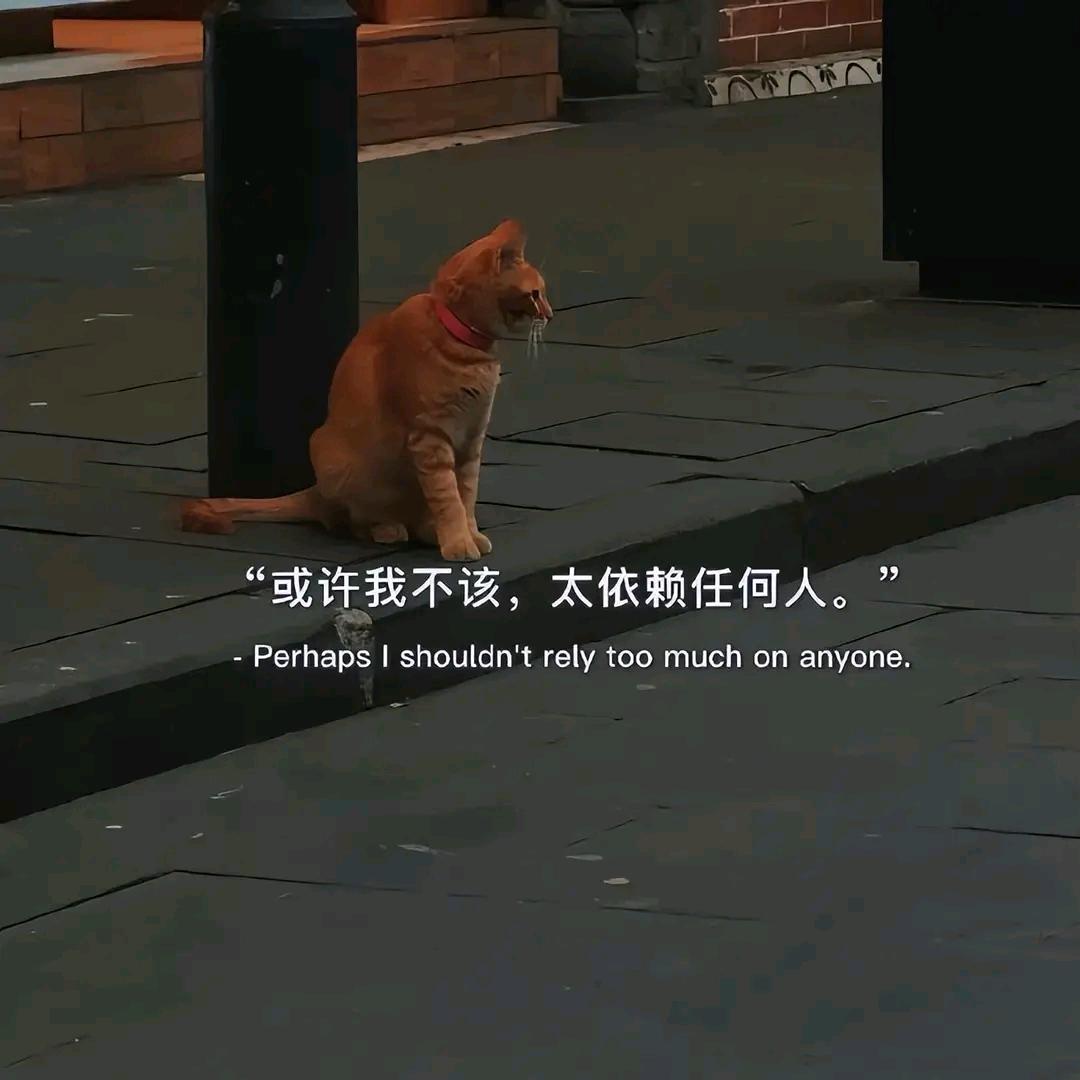 R.zzz