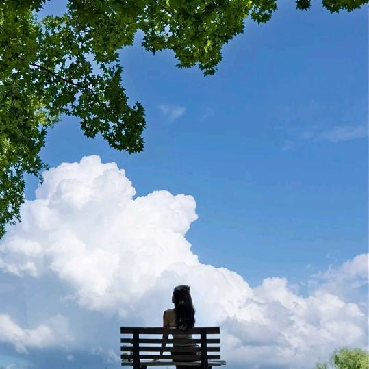 宁景爱追剧'LY