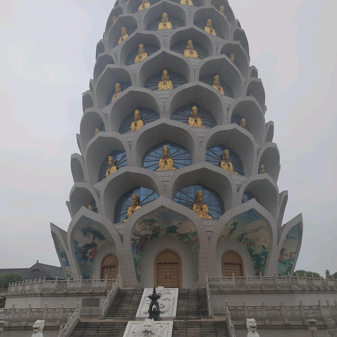 V仔兽