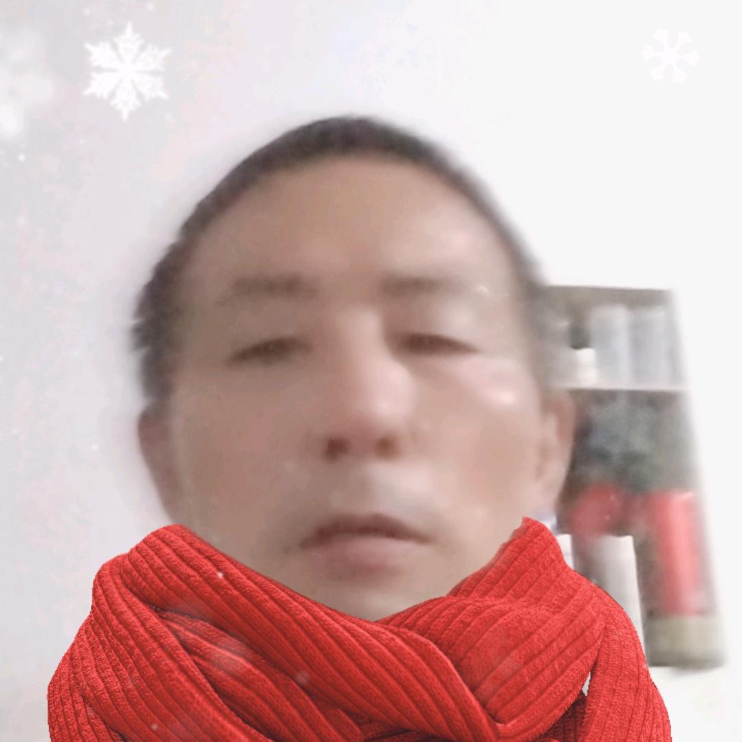 黄道仿